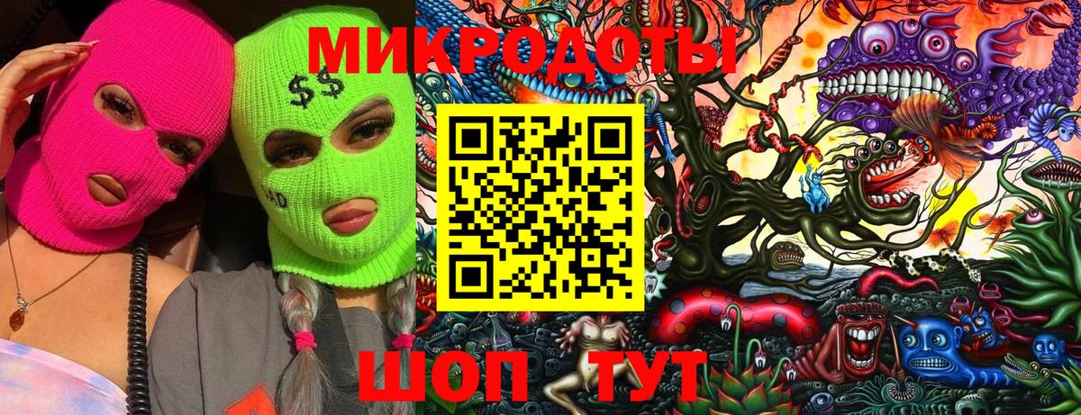 Галлюциногенные грибы Psilocybine cubensis Бийск